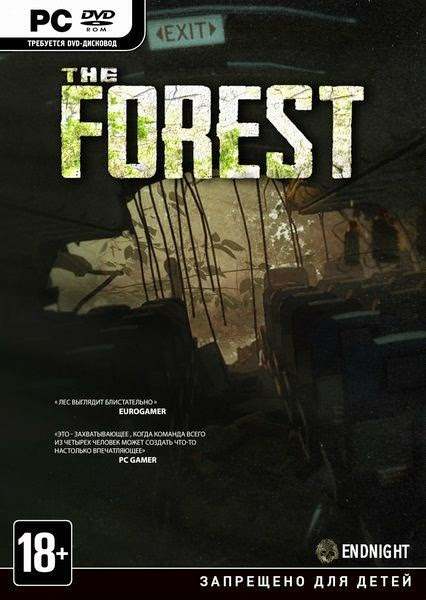 The forest как играть вдвоем на одном компьютере