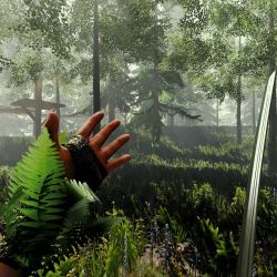 играть в The Forest без регистрации