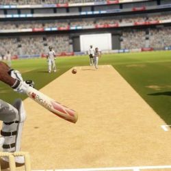 скачать торрент Don Bradman Cricket 14 без регистрации на пк