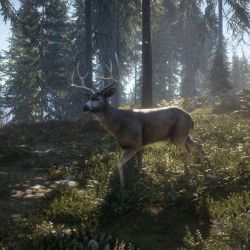скачать TheHunter Call of the Wild бесплатно