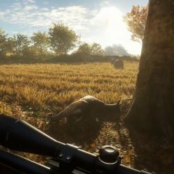 играть в TheHunter Call of the Wild без регистрации