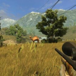 скачать Hunters Trophy 2 Europe бесплатно