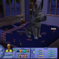 скачать бесплатно игру Sims 2 Pets