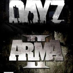 скачать ARMA 2 через торрент 