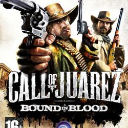 скачать игру Call of Juarez на компьютер