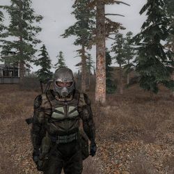 скачать игру Сталкер через торрент бесплатно