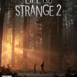 Life is Strange 2 скачать бесплатно на ПК