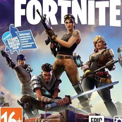 игра Fortnite скачать на русском