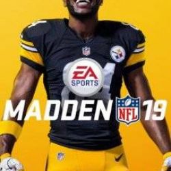 Madden NFL 19 скачать торрент на компьютер