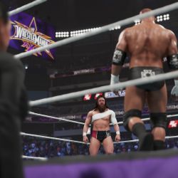 скачать WWE 2K19 через торрент бесплатно