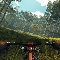 mtbfreeride скачать через торрент