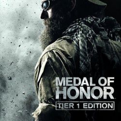 скачать игру Медаль за Отвагу 2010 